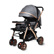 Nurtur Wilder Reversible Baby/Kids Travel Stroller 5 Point Safety Harness, Adjustable Backrest and Canopy, Reversible Handle, Grey