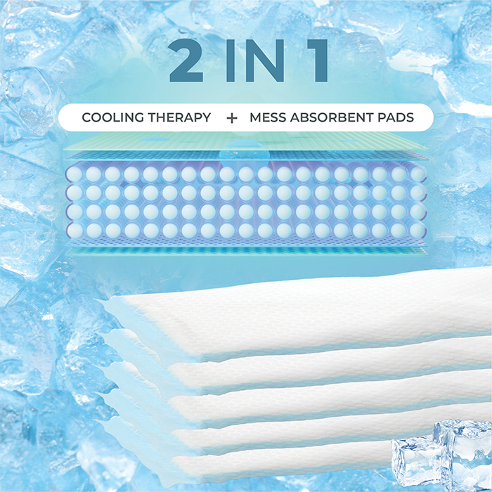 2-in-1 Postpartum Maxi Cooling Pads for Women, Disposable High Absorbent Cooling Perineal (10 Pads) Reduce Swelling